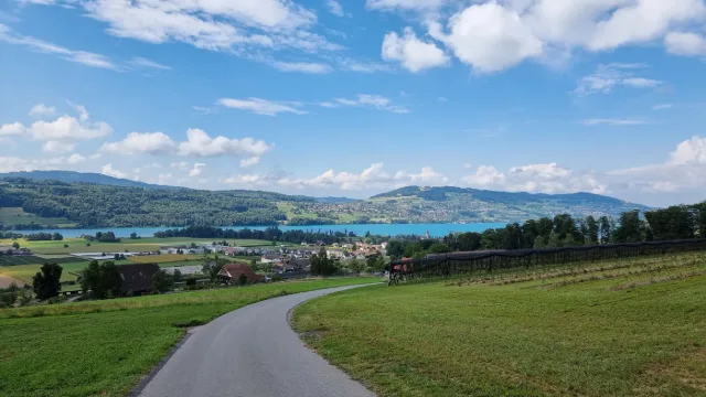 Vista dal Lindenberg sul lago di Hallwil.