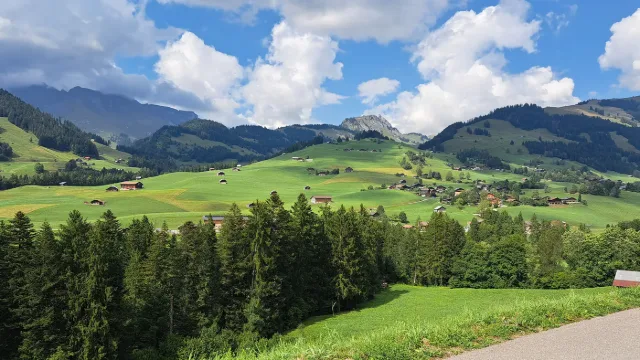Pascoli e boschi sotto le montagne.