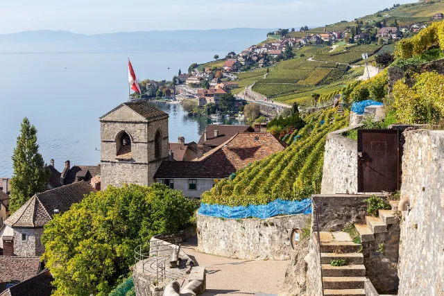 Kirche, Reben und See im Lavaux.