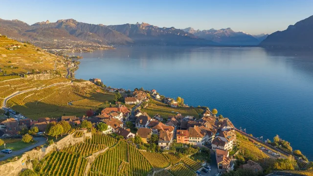 Die Rebterrassen des Lavaux über dem Genfersee.