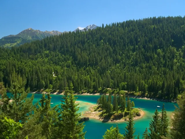 Der türkise Caumasee im Wald bei Flims.