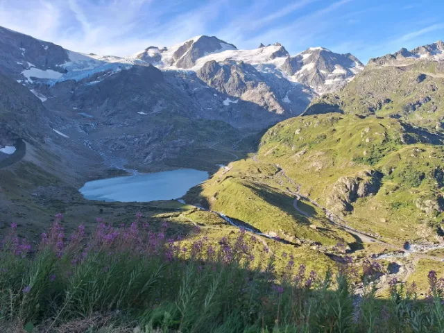 Bergsee unter einem Gletscher, Blumen im Vordergrund.