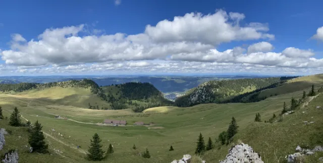 Weite Jurahöhe mit Weiden und Tannenwald.