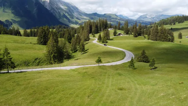 Eine Strasse durch Alpweiden, von oben gesehen.