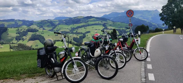 Töfflis am Strassenrand, dahinter grüne Hügel.