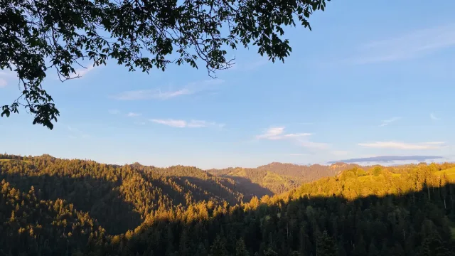 Abendlicht über den Hügeln des Emmentals.