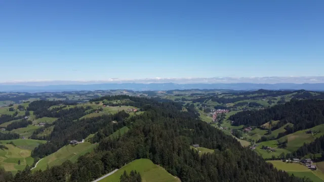 Hügel und Wälder bis zum Horizont.
