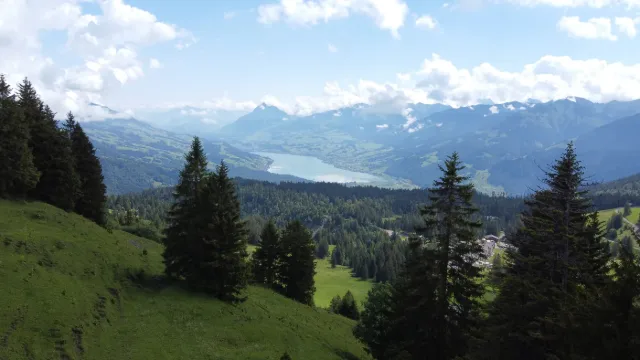 Blick vom Glaubenbielen über Wälder auf einen See.